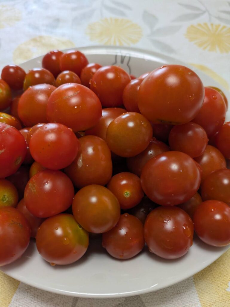 かわいい耳がみえたのは