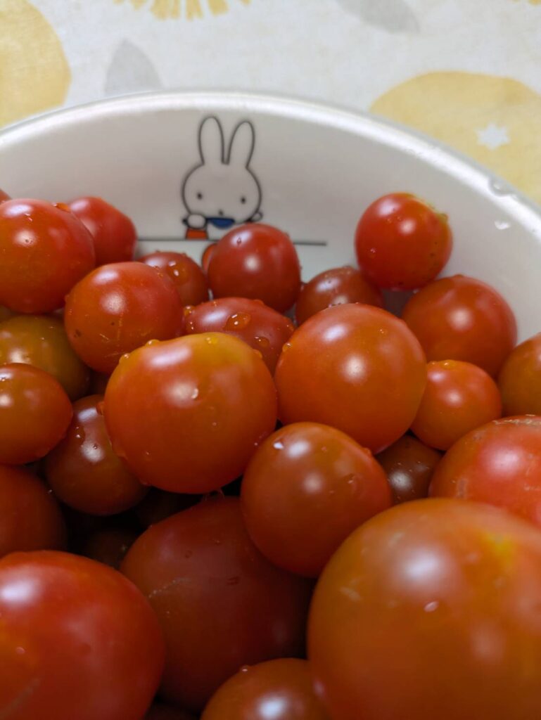 出てきましたね